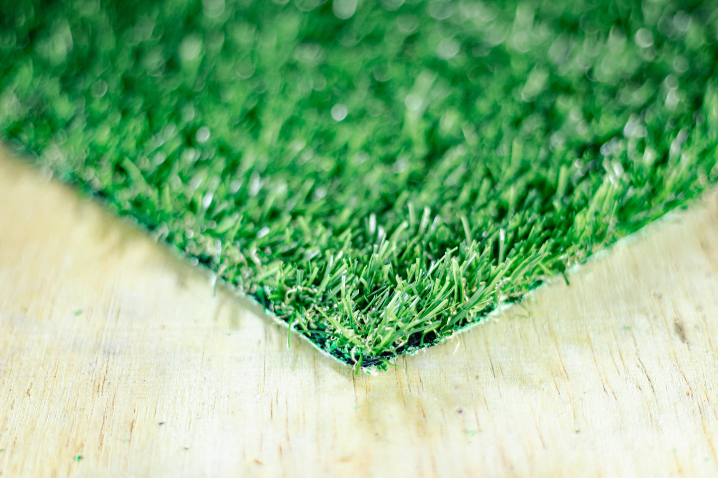 20mm Cape Fern Artificial Grass