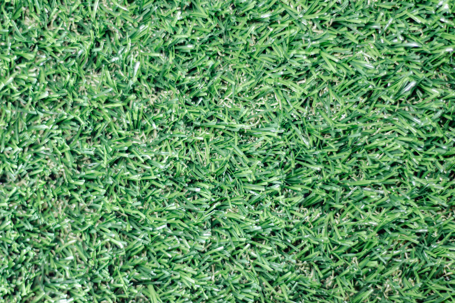 20mm Cape Fern Artificial Grass