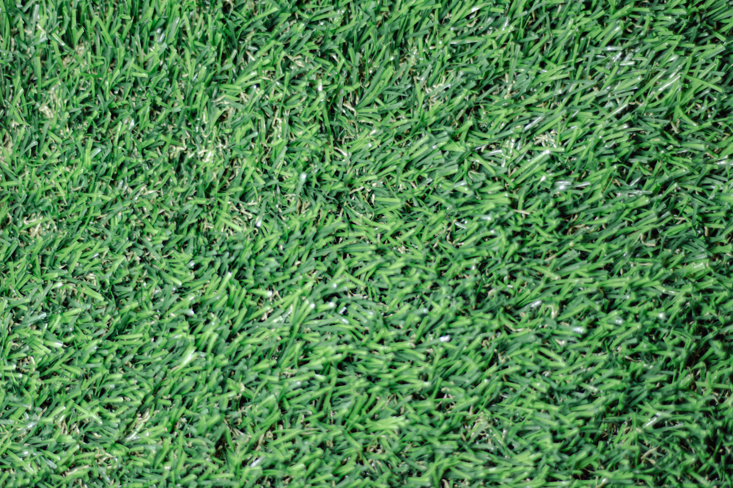 25mm Cape Fern Artificial Grass
