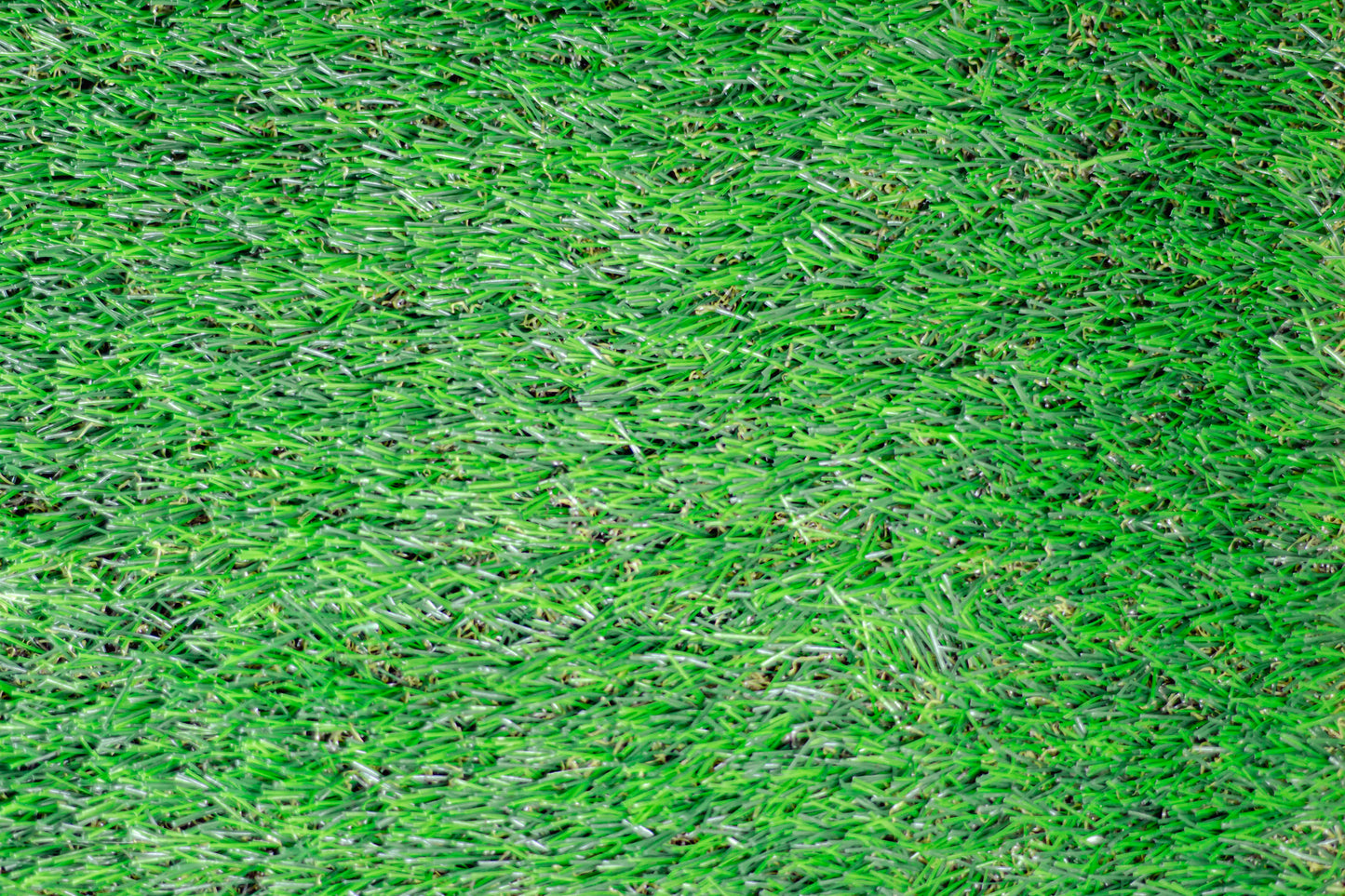 25mm Cape Spring Artificial Grass