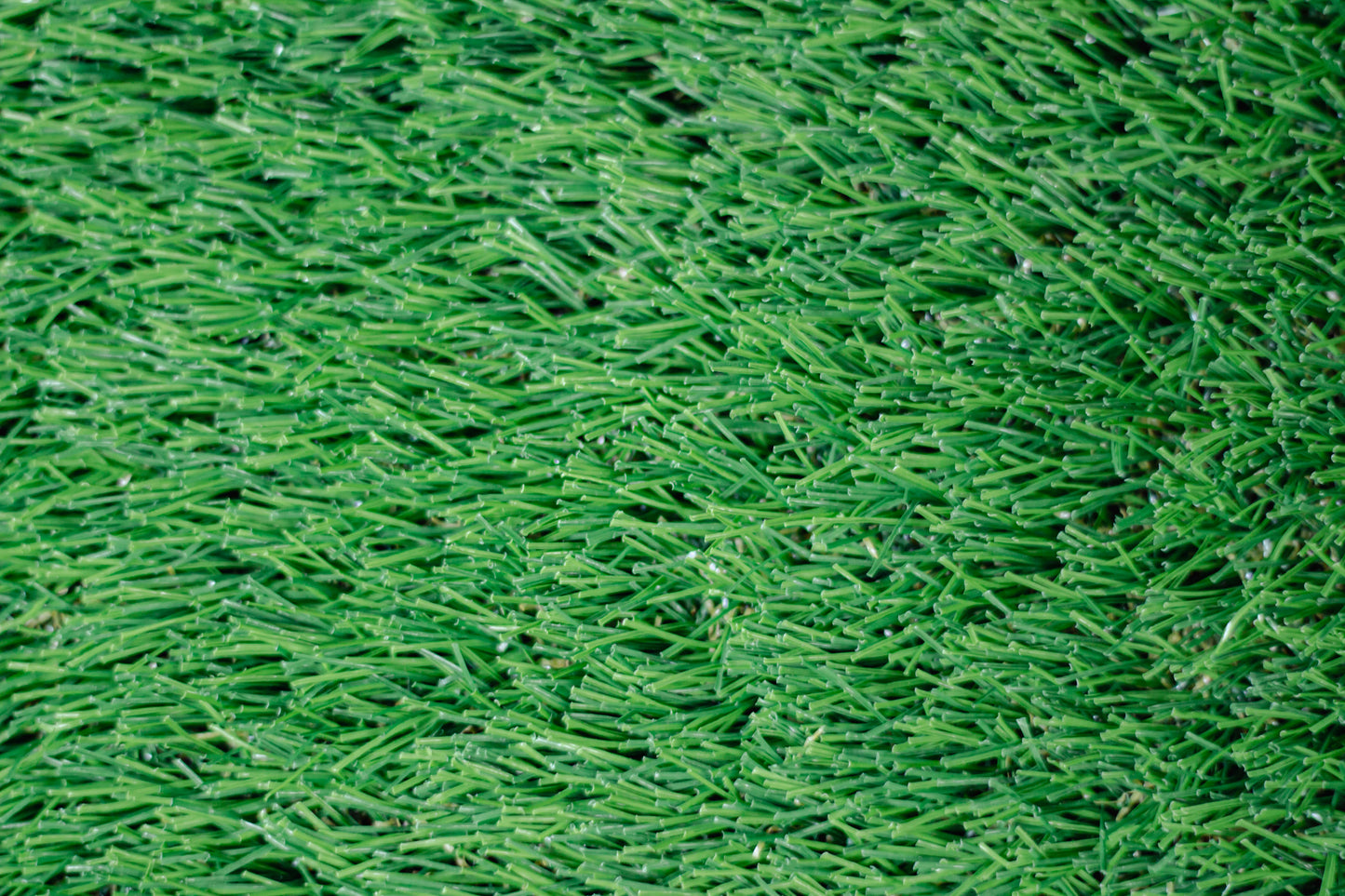 30mm Cape Fern Artificial Grass