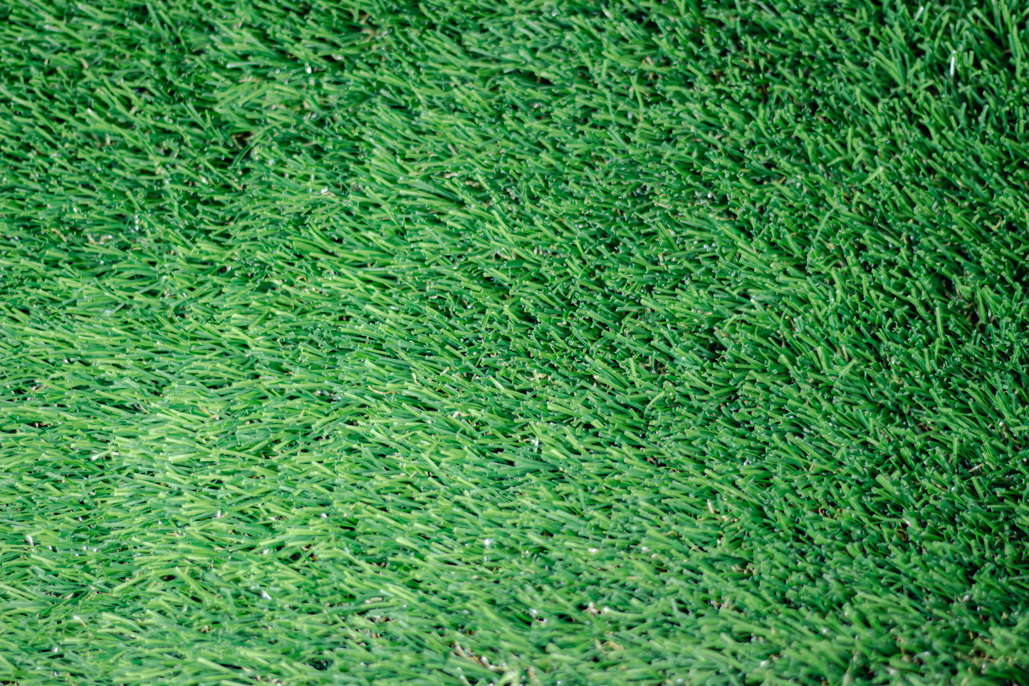 35mm Cape Summer Artificial Grass