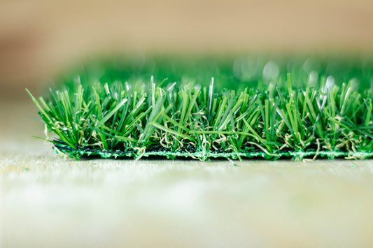 20mm Cape Fern Artificial Grass