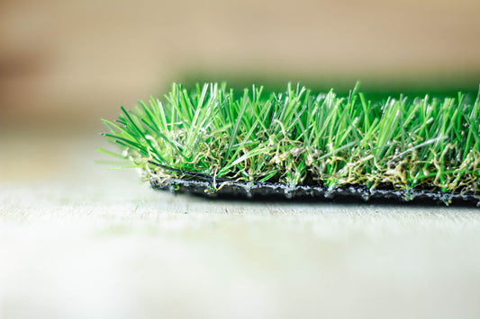 25mm Cape Fern Artificial Grass
